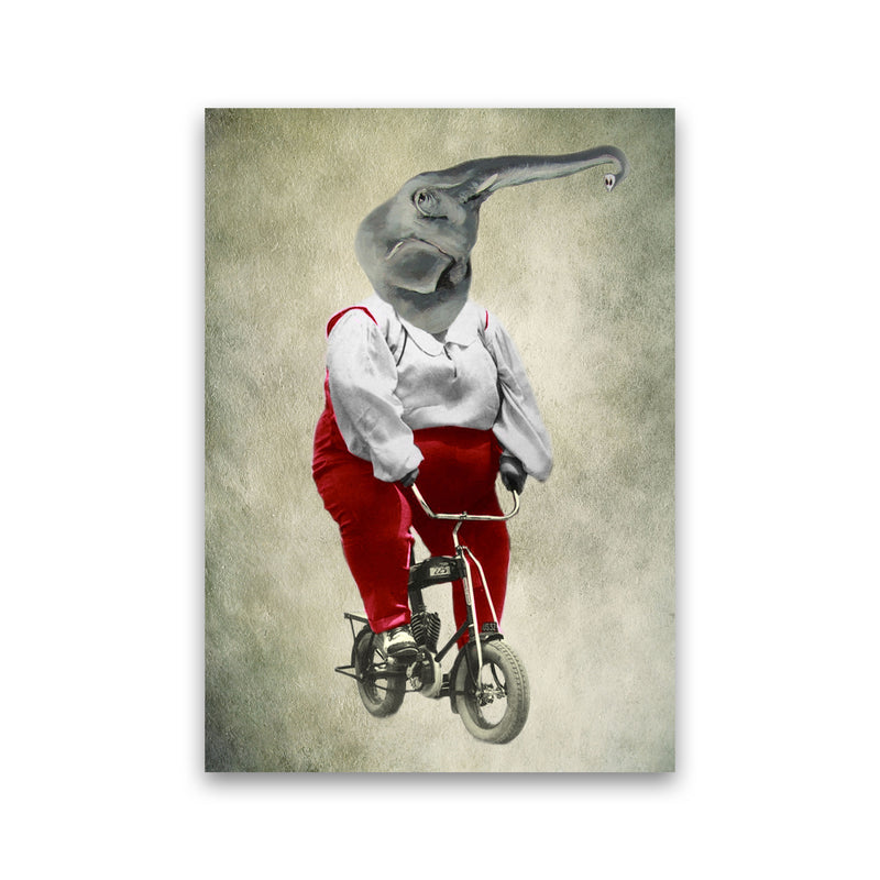 Elephant On Bicycle 02 Art Print by Coco Deparis Print Only