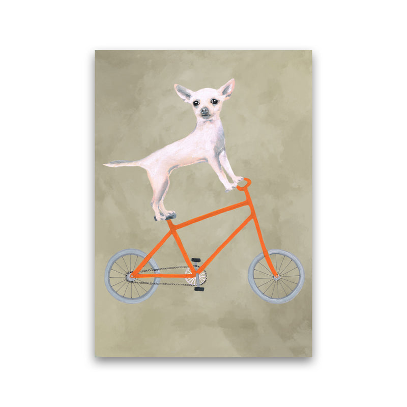 Chihuahua On Bicycle Art Print by Coco Deparis Print Only