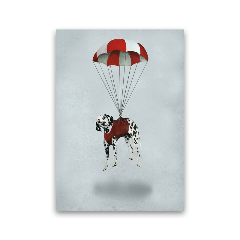 Dalmatian Parachute Art Print by Coco Deparis Print Only