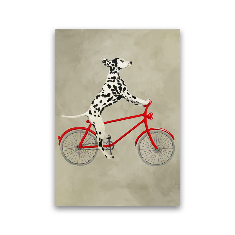 Dalmatian On Bicycle Art Print by Coco Deparis Print Only