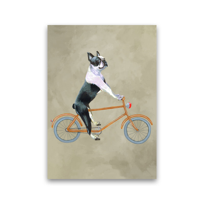 Boston Terrier On Bicycle Art Print by Coco Deparis Print Only