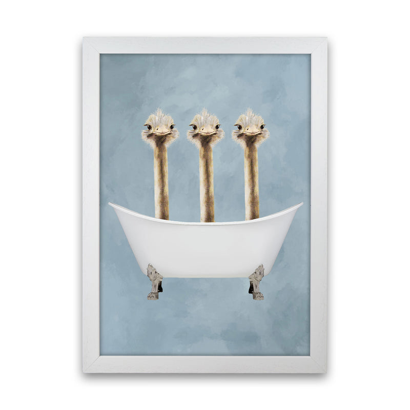 Ostriches In Bathtub Art Print by Coco Deparis White Grain