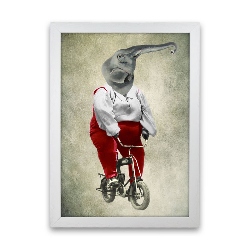 Elephant On Bicycle 02 Art Print by Coco Deparis White Grain