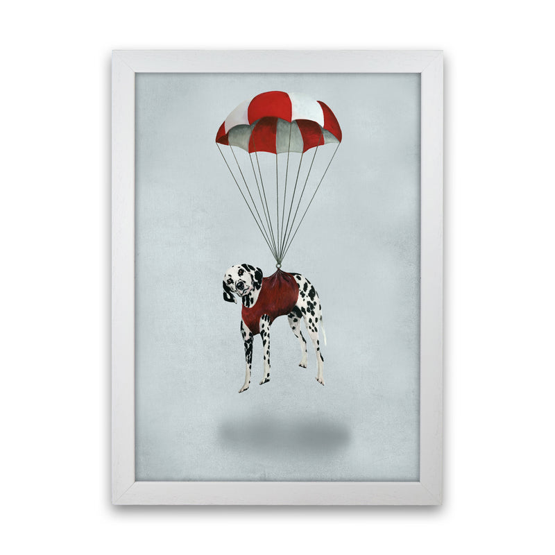 Dalmatian Parachute Art Print by Coco Deparis White Grain