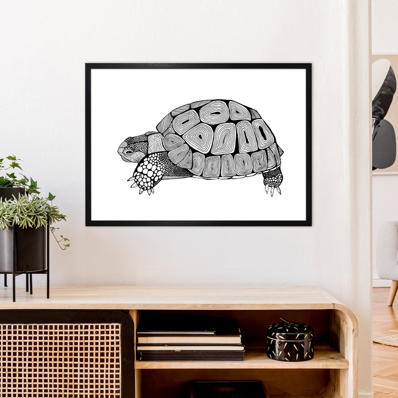 Tortoise Art Print by Carissa Tanton A1 White Frame