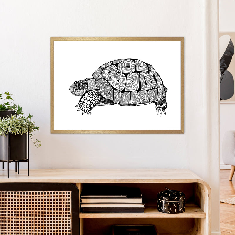 Tortoise Art Print by Carissa Tanton A1 Print Only