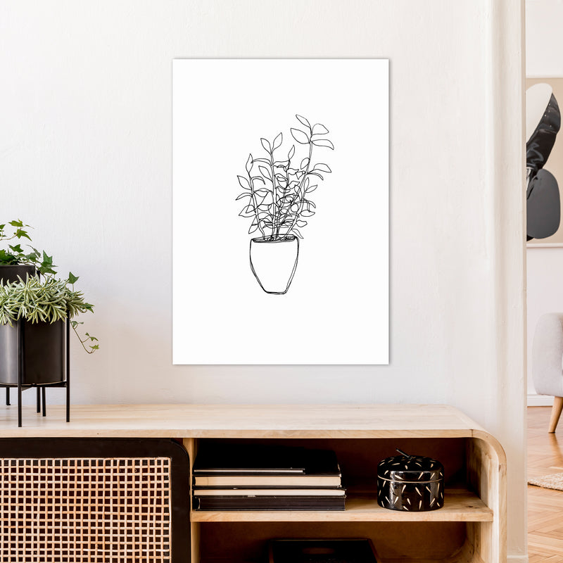 Tea Plant Art Print by Carissa Tanton A1 Black Frame
