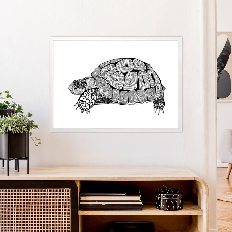 Tortoise Art Print by Carissa Tanton A1 Oak Frame