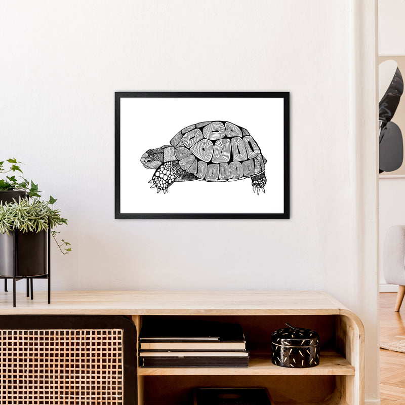 Tortoise Art Print by Carissa Tanton A2 White Frame