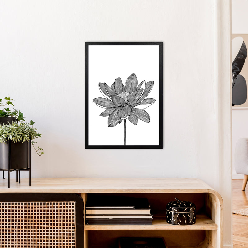 Lotus Art Print by Carissa Tanton A2 White Frame
