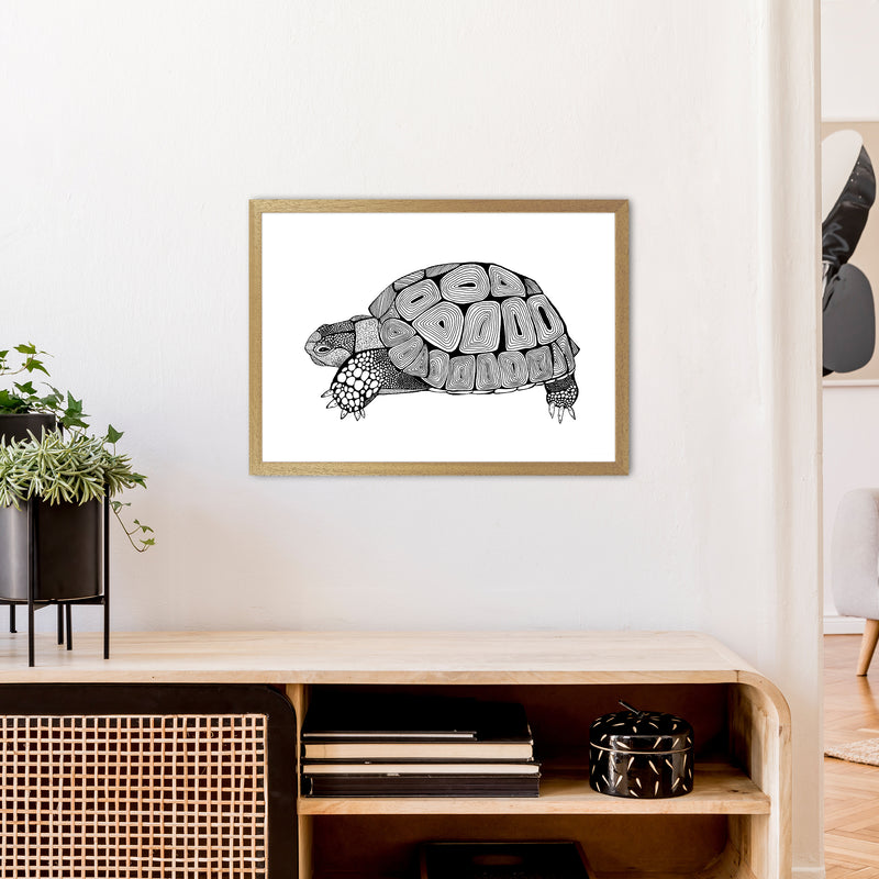 Tortoise Art Print by Carissa Tanton A2 Print Only