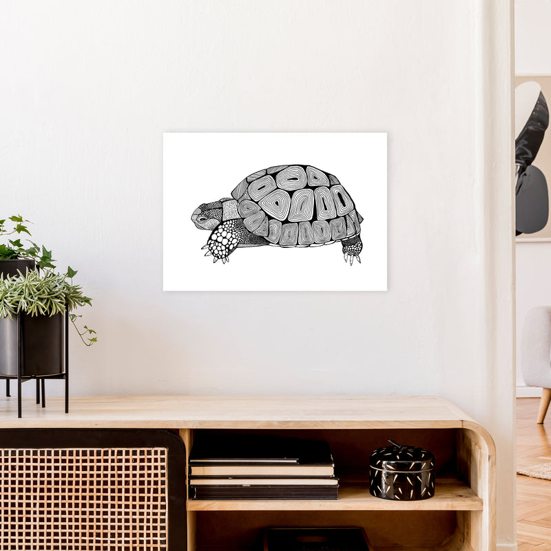 Tortoise Art Print by Carissa Tanton A2 Black Frame