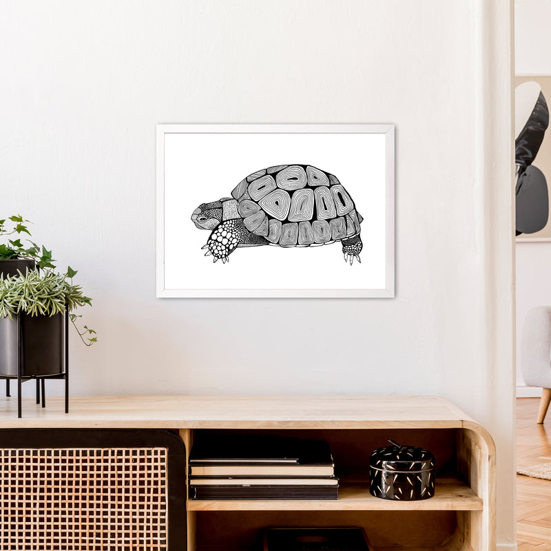 Tortoise Art Print by Carissa Tanton A2 Oak Frame