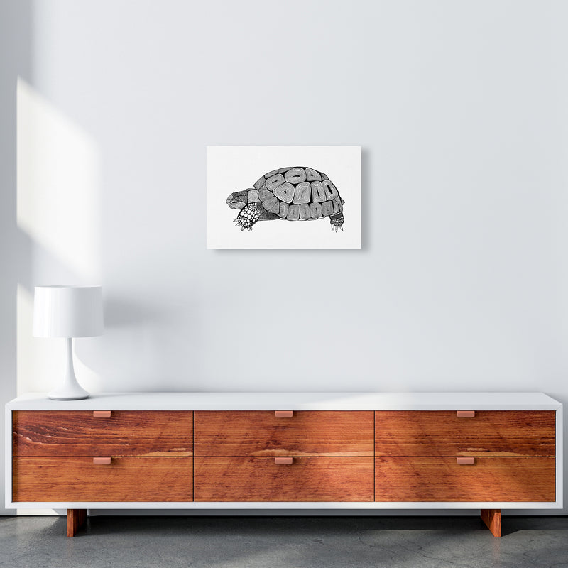 Tortoise Art Print by Carissa Tanton A3 Canvas