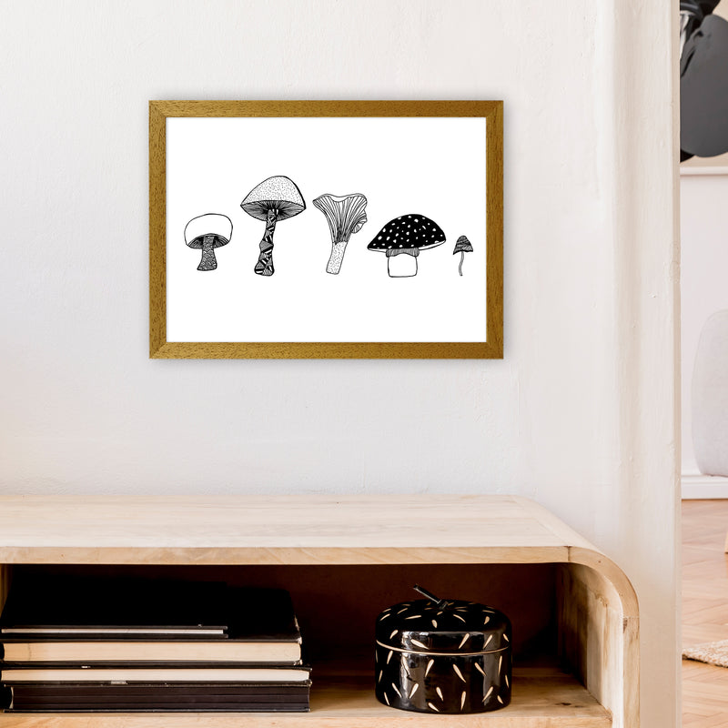 Mushrooms Art Print by Carissa Tanton A3 Print Only