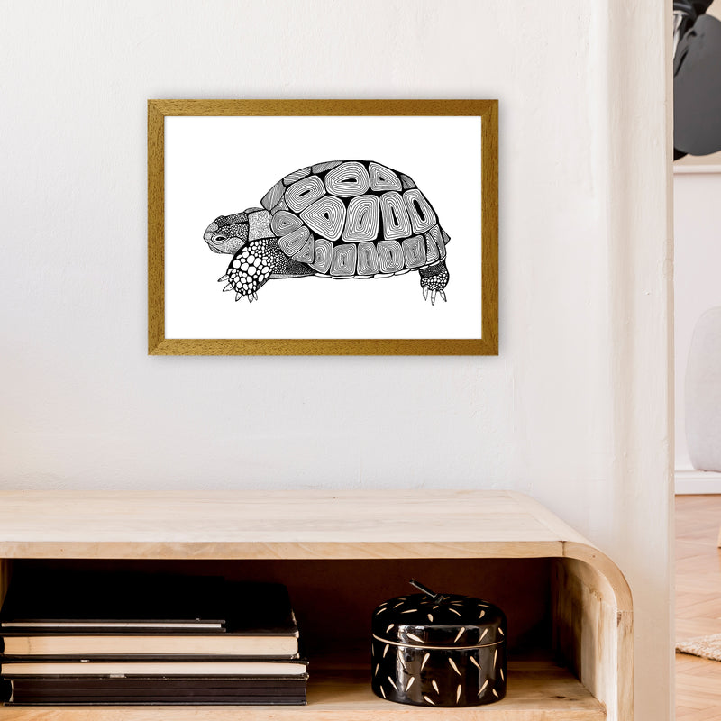 Tortoise Art Print by Carissa Tanton A3 Print Only