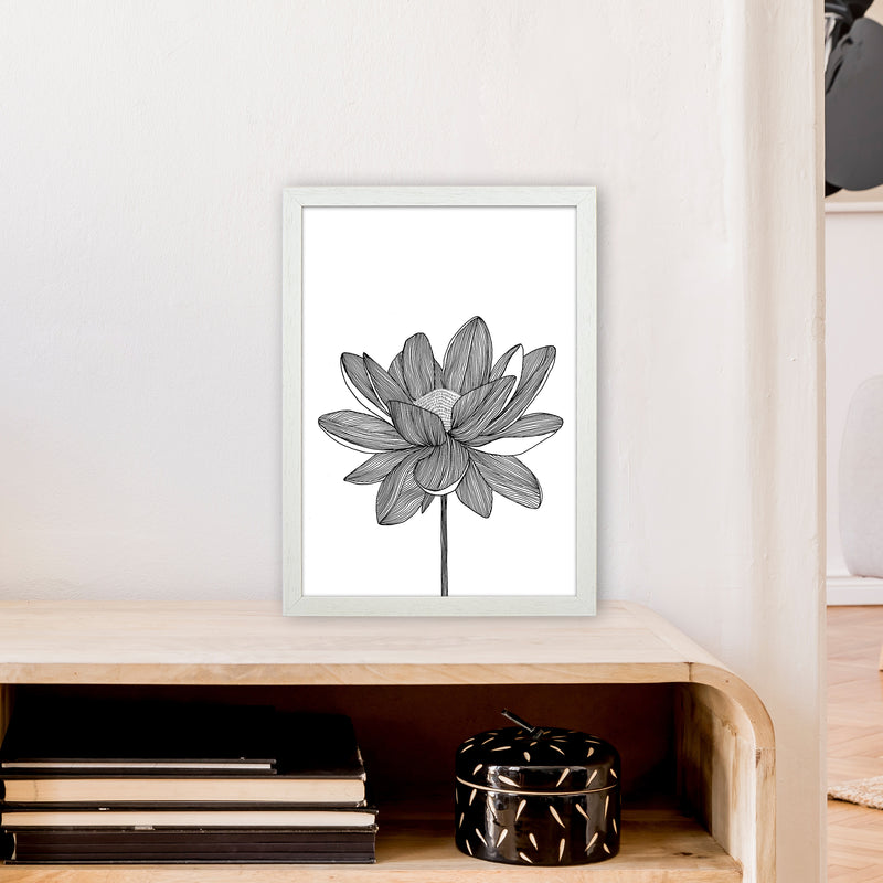 Lotus Art Print by Carissa Tanton A3 Oak Frame