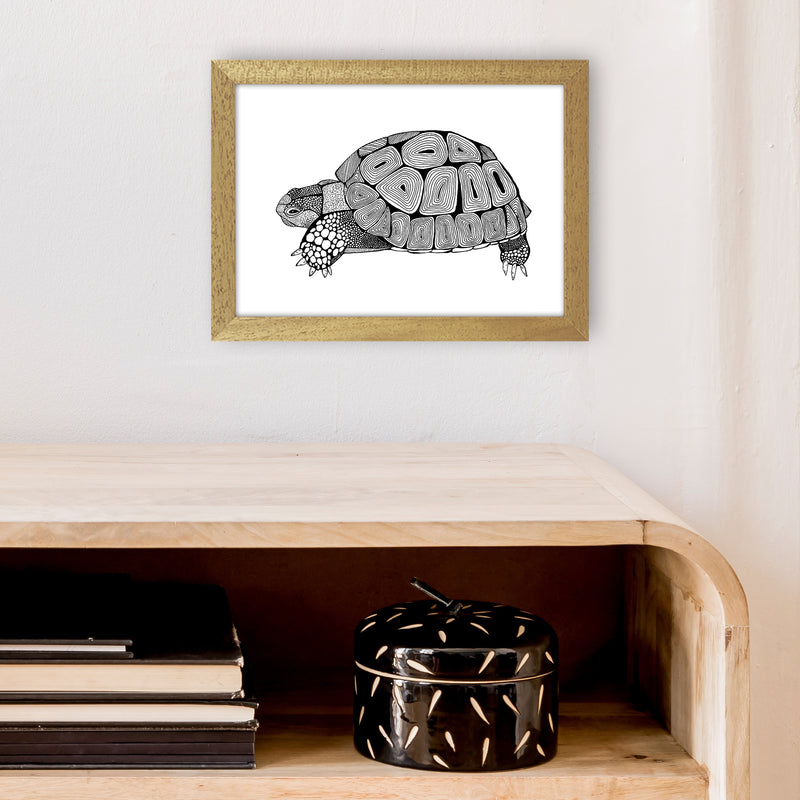 Tortoise Art Print by Carissa Tanton A4 Print Only