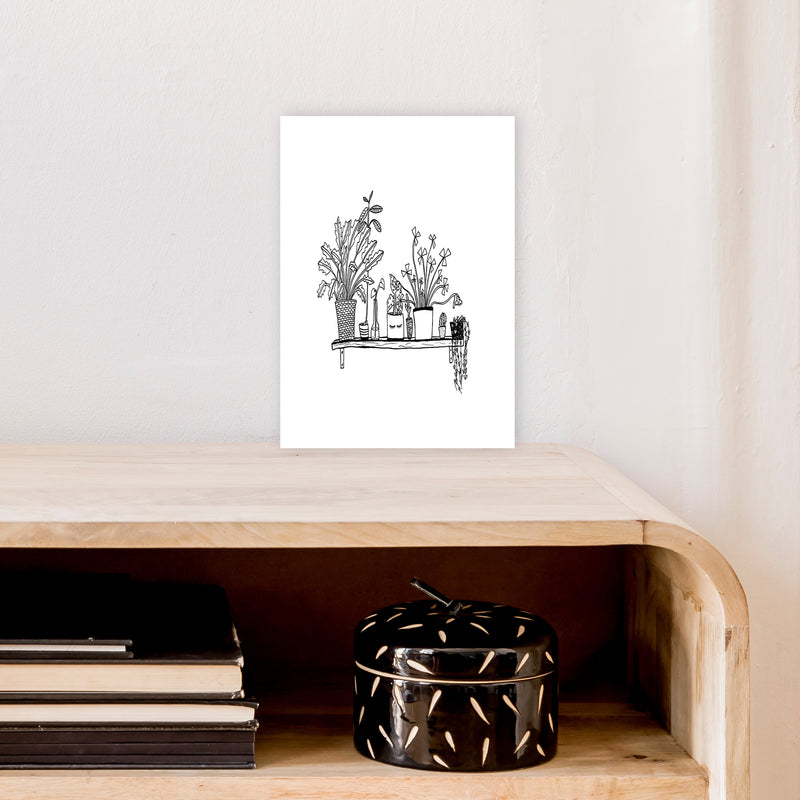 Plant Shelfie Art Print by Carissa Tanton A4 Black Frame