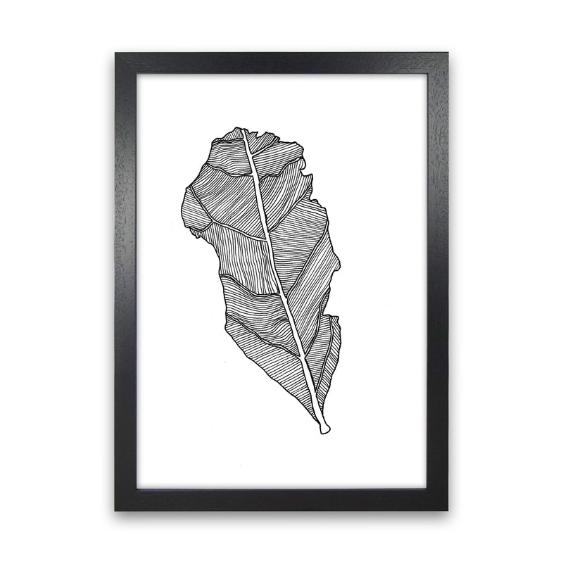 Kyobancha Leaf Art Print by Carissa Tanton Black Grain