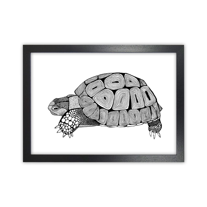 Tortoise Art Print by Carissa Tanton Black Grain