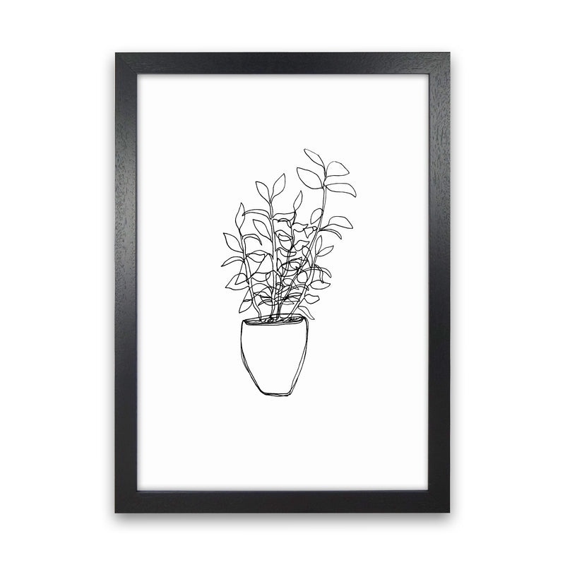 Tea Plant Art Print by Carissa Tanton Black Grain