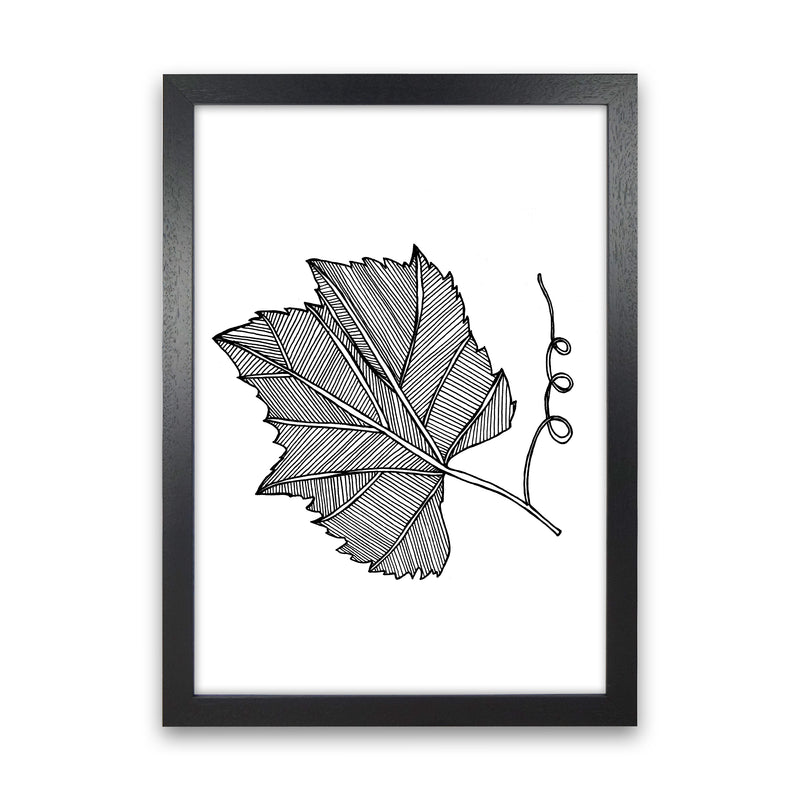Vine Leaf Art Print by Carissa Tanton Black Grain