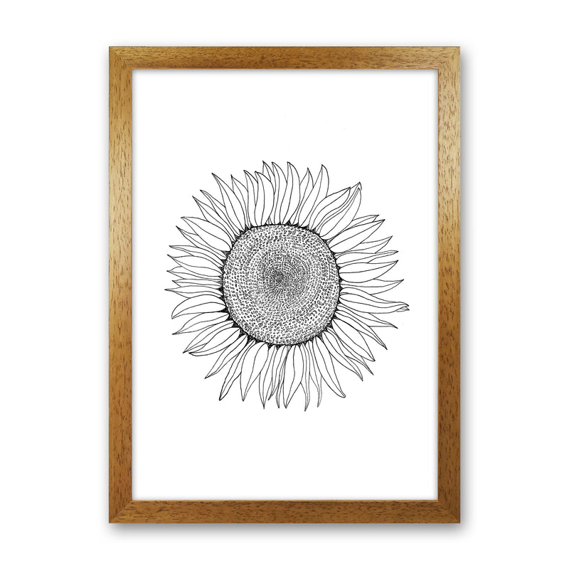 Sunflower Art Print by Carissa Tanton Oak Grain