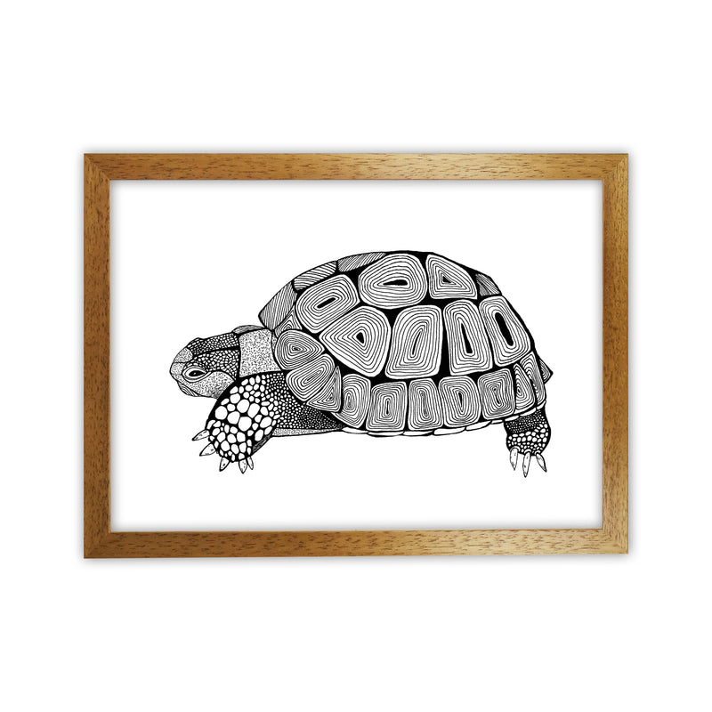 Tortoise Art Print by Carissa Tanton Oak Grain
