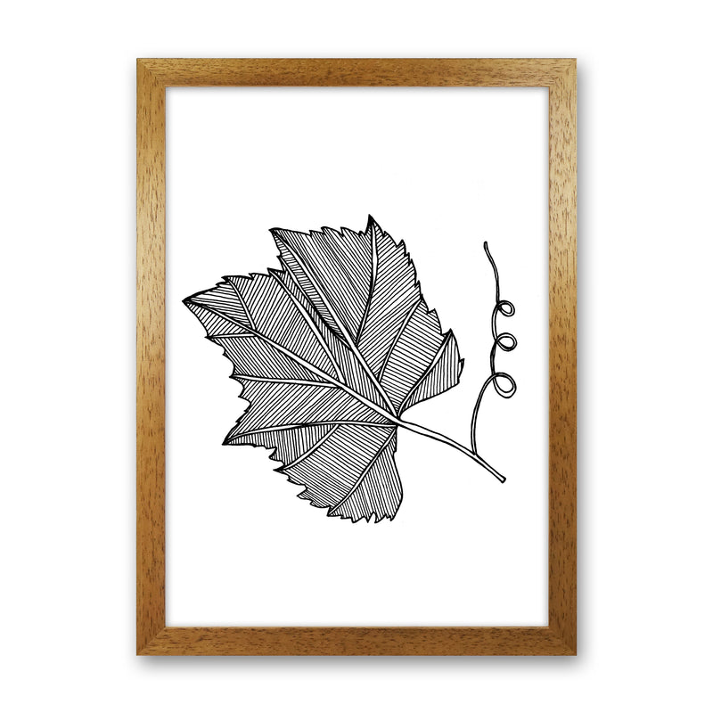 Vine Leaf Art Print by Carissa Tanton Oak Grain