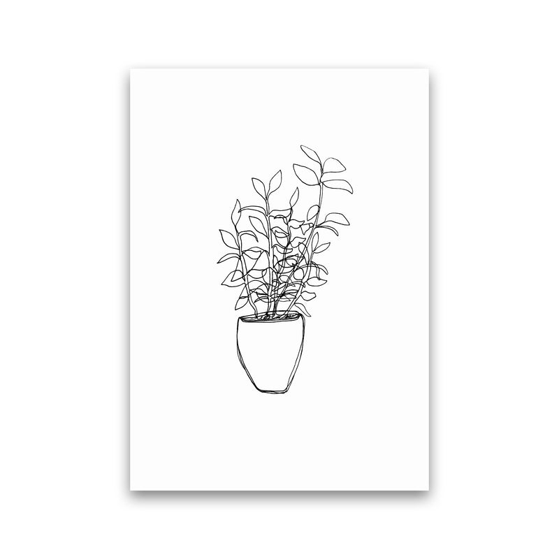Tea Plant Art Print by Carissa Tanton Print Only