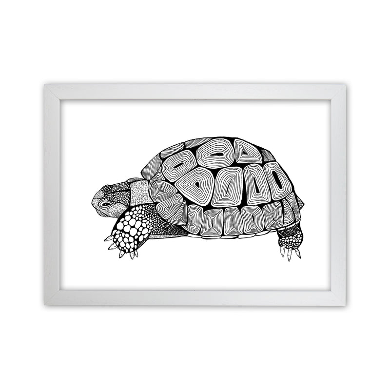 Tortoise Art Print by Carissa Tanton White Grain