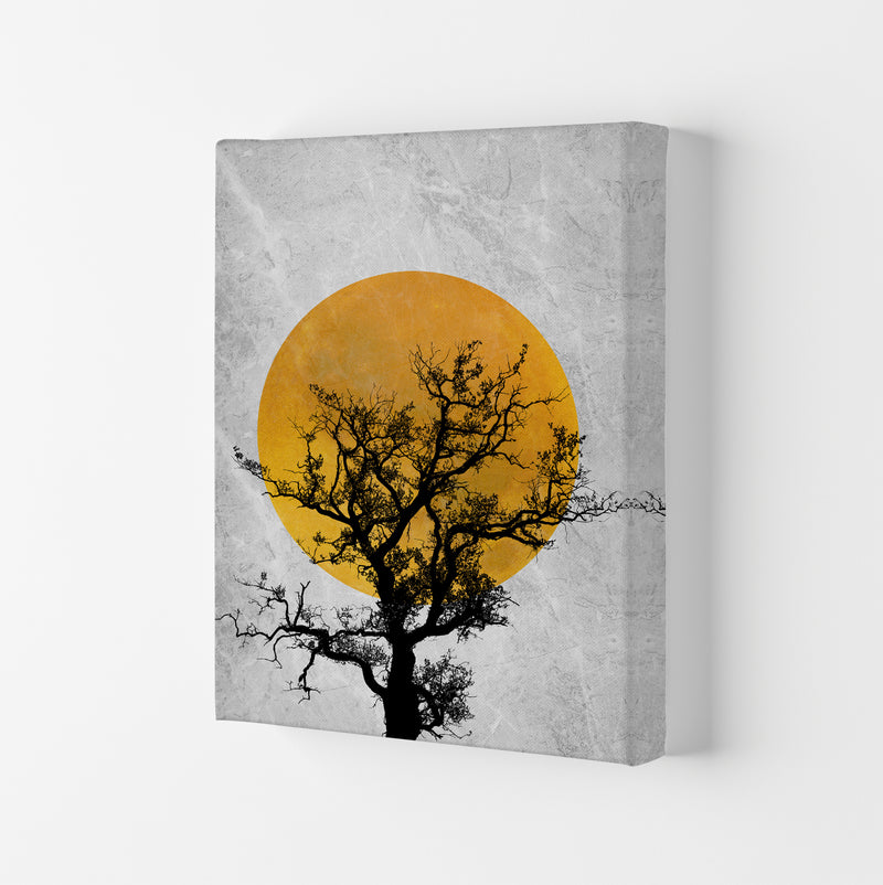 The Sunset Tree Art Print by Essentially Nomadic Canvas
