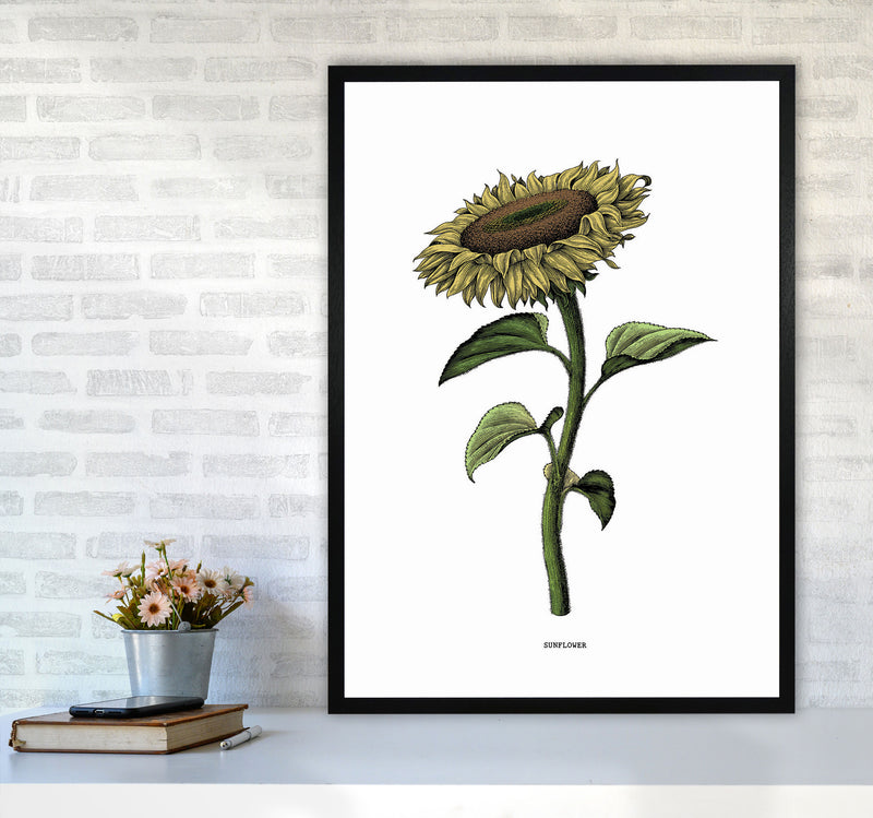 Sunflowers For President Art Print by Jason Stanley A1 White Frame