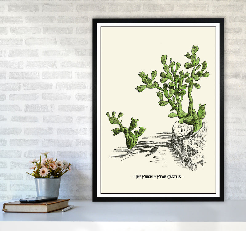 The Prickly Pear Cactus Art Print by Jason Stanley A1 White Frame