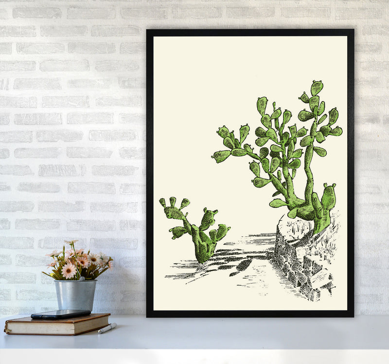 Prickly Pear Cactus Art Print by Jason Stanley A1 White Frame