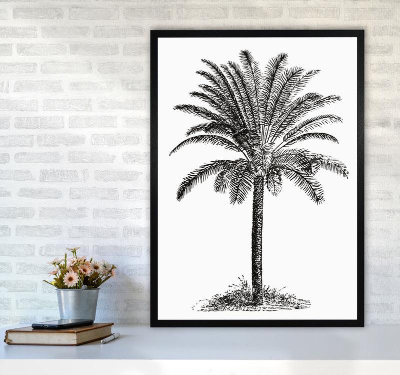 Vintage Palm Tree Art Print by Jason Stanley A1 White Frame