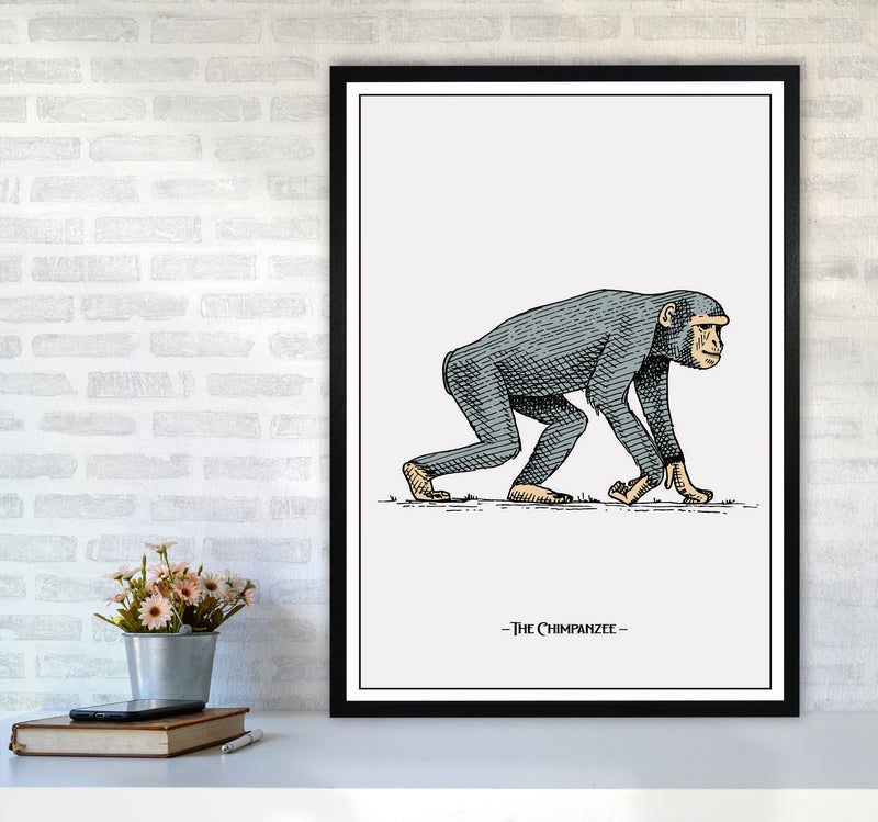 The Chimpanzee Art Print by Jason Stanley A1 White Frame