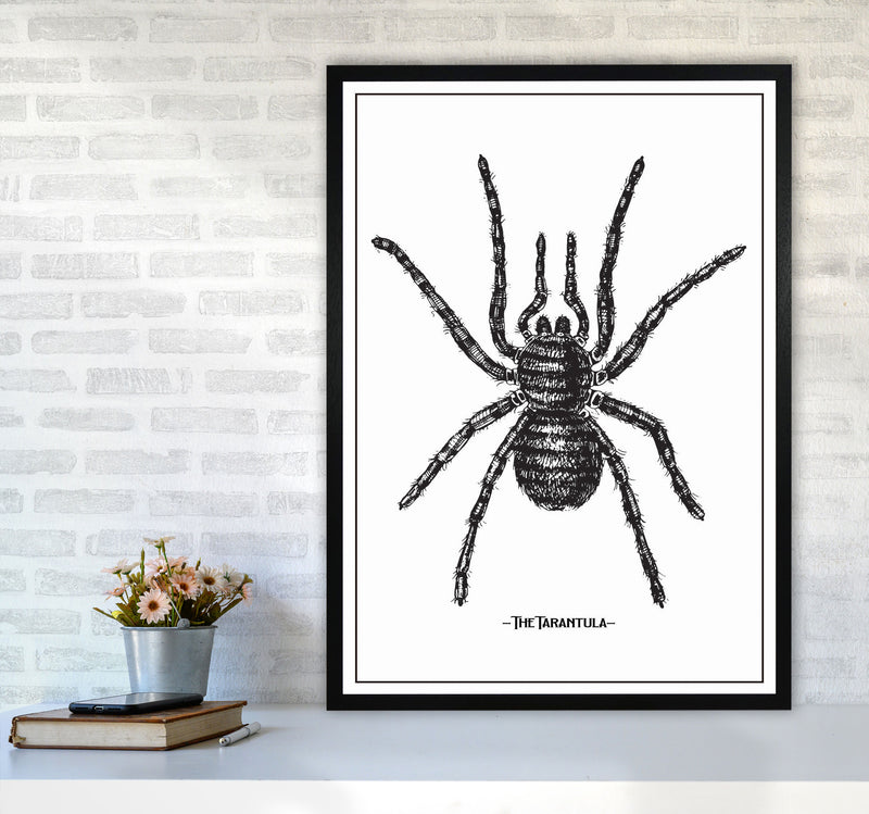 The Tarantula Art Print by Jason Stanley A1 White Frame