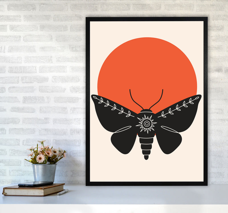 Sunshine Moth Art Print by Jason Stanley A1 White Frame