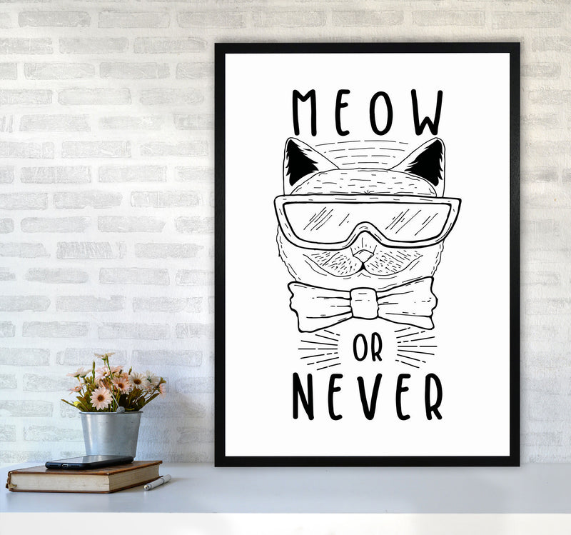 Meow Or Never Art Print by Jason Stanley A1 White Frame