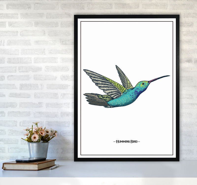 Humming Bird Art Print by Jason Stanley A1 White Frame