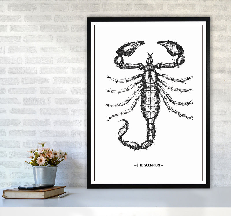 The Scorpion Art Print by Jason Stanley A1 White Frame