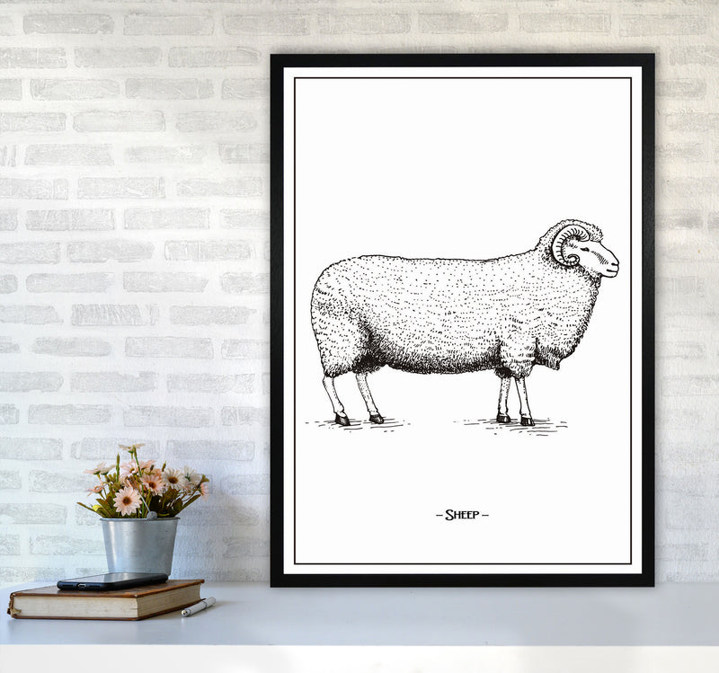 Sheep Art Print by Jason Stanley A1 White Frame