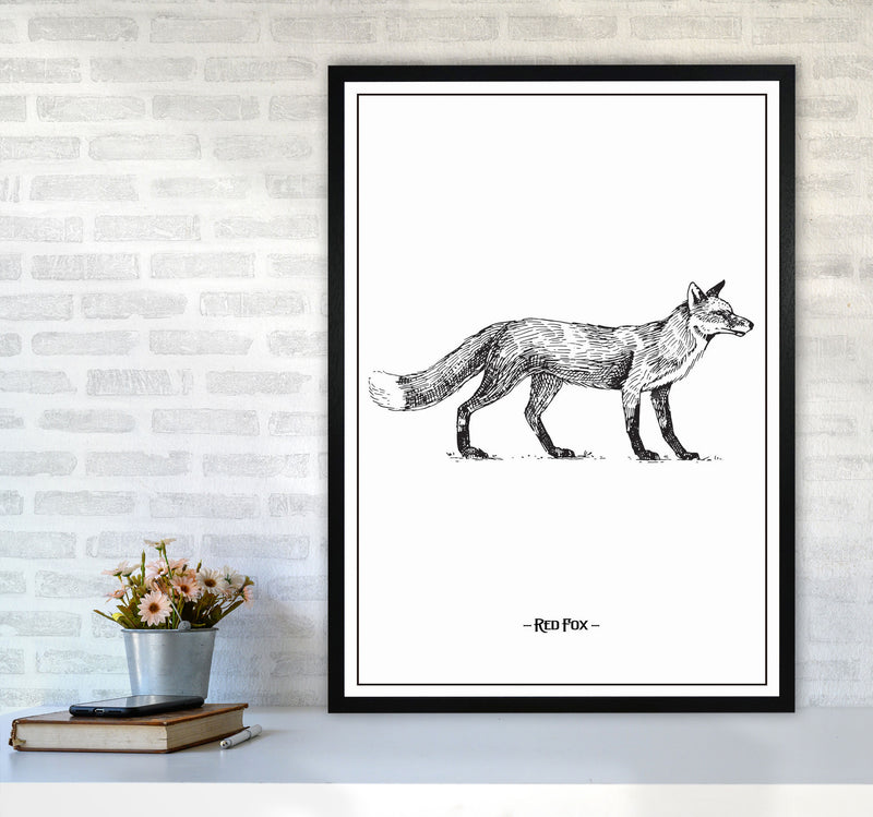 Red Fox Art Print by Jason Stanley A1 White Frame