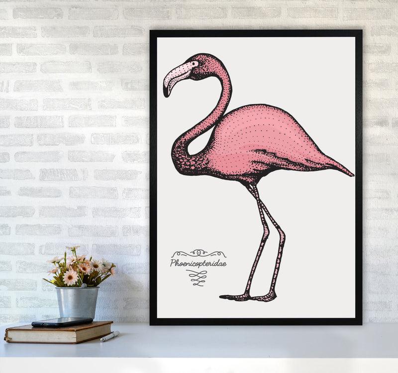 Flamingo Art Print by Jason Stanley A1 White Frame