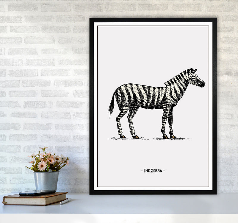 The Zebra Art Print by Jason Stanley A1 White Frame