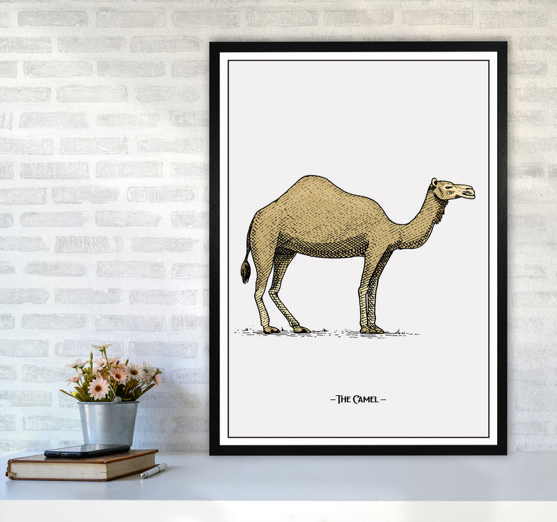 The Camel Art Print by Jason Stanley A1 White Frame