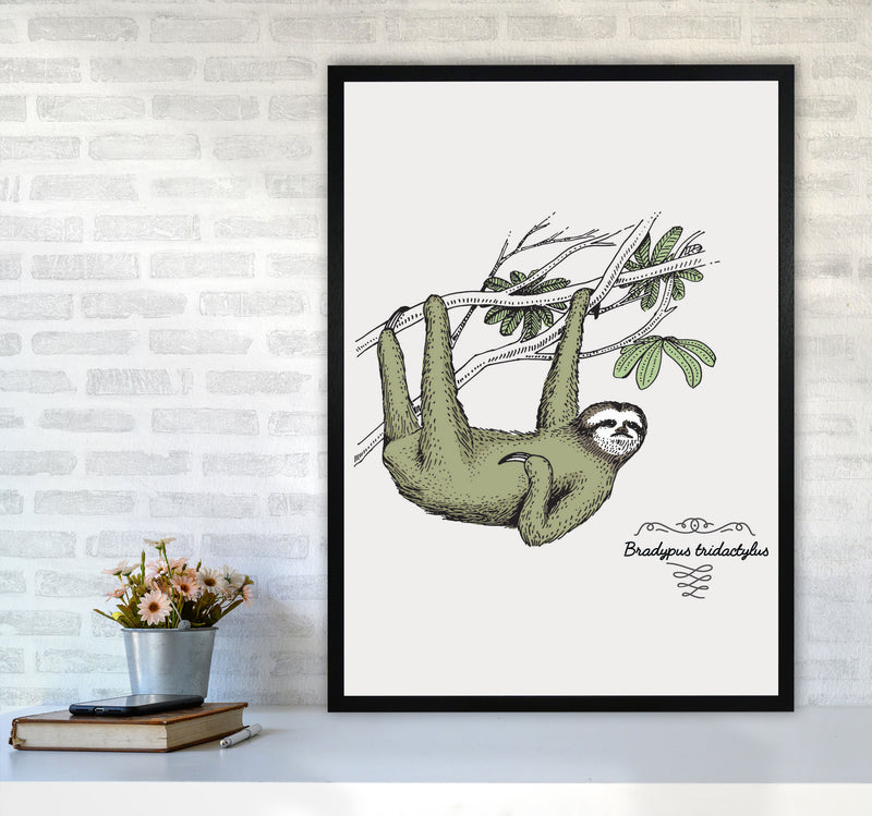 Sloth Art Print by Jason Stanley A1 White Frame