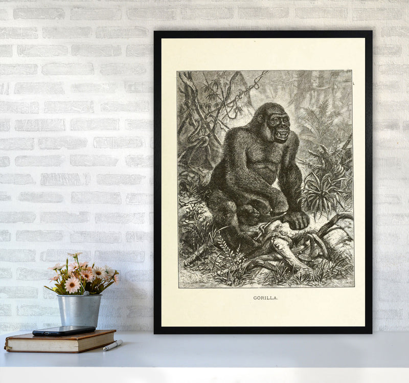 The Other King Of The Jungle Art Print by Jason Stanley A1 White Frame